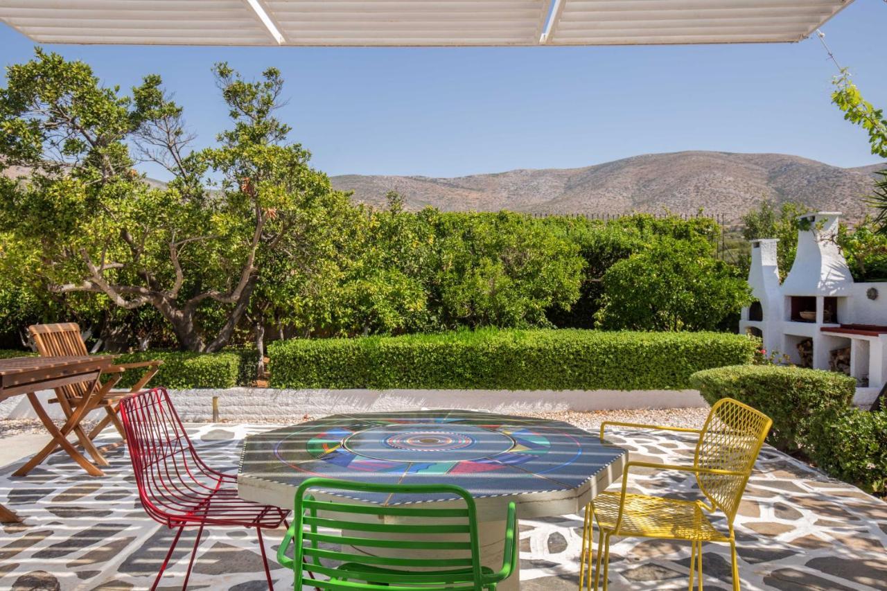 Villa Oasis With Large Pool Athenian Riviera Lagonissi ลาโกนิสซี ภายนอก รูปภาพ