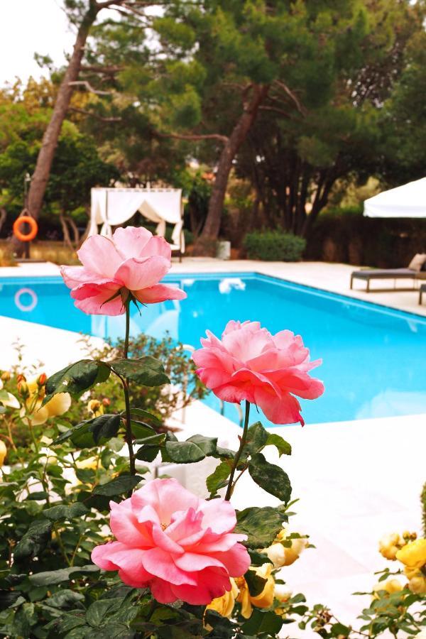 Villa Oasis With Large Pool Athenian Riviera Lagonissi ลาโกนิสซี ภายนอก รูปภาพ