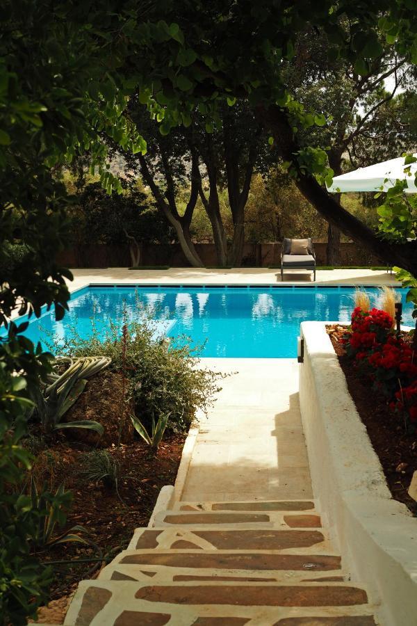 Villa Oasis With Large Pool Athenian Riviera Lagonissi ลาโกนิสซี ภายนอก รูปภาพ