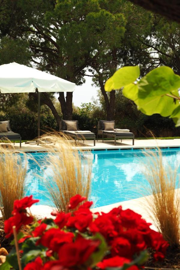 Villa Oasis With Large Pool Athenian Riviera Lagonissi ลาโกนิสซี ภายนอก รูปภาพ