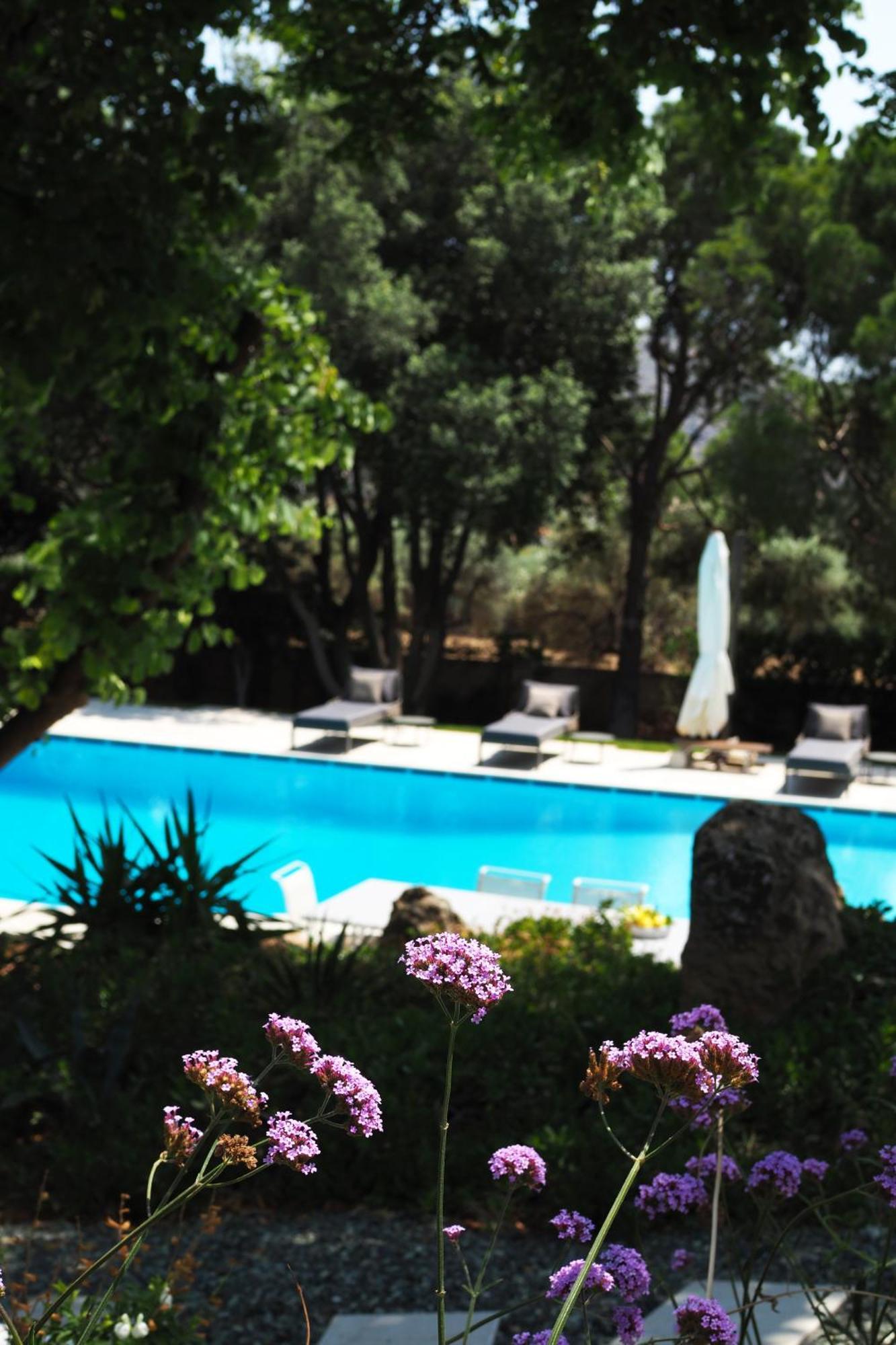 Villa Oasis With Large Pool Athenian Riviera Lagonissi ลาโกนิสซี ภายนอก รูปภาพ